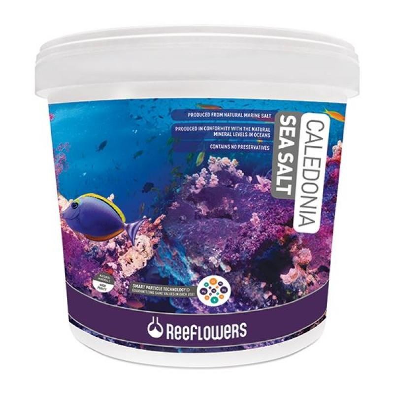 ReeFlowers Caledonia Sea Salt 22.5 Kg