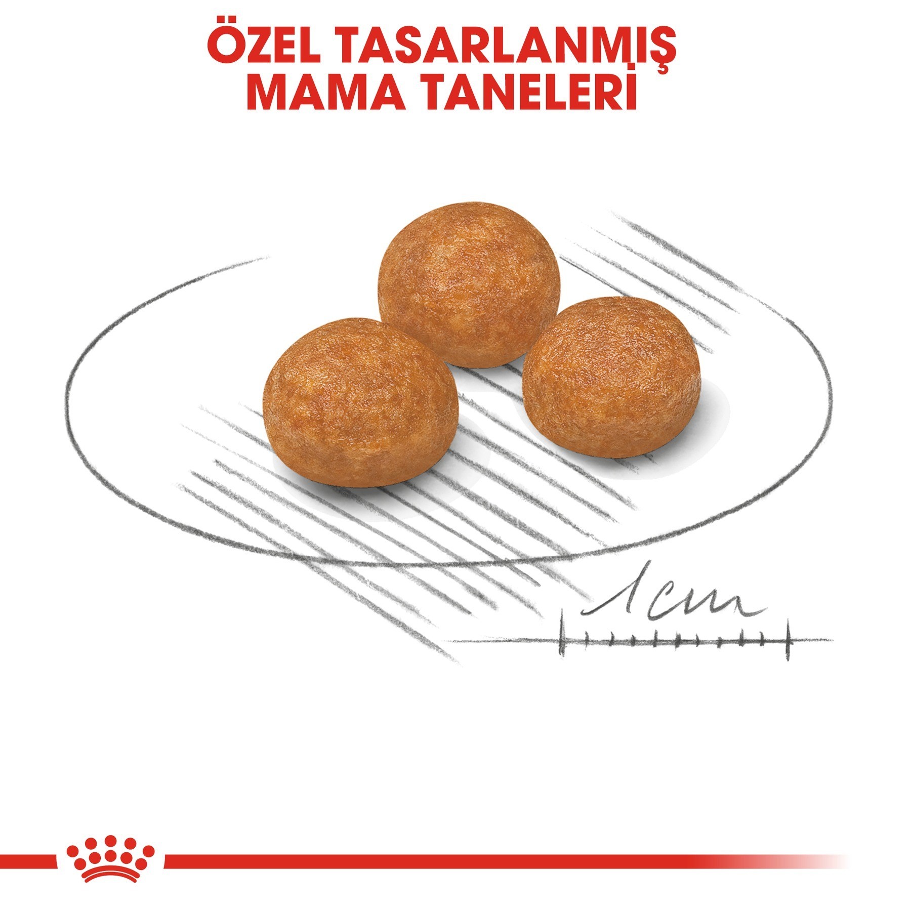 Royal Canin X-S Yetişkin Köpek Maması 1.5 Kg