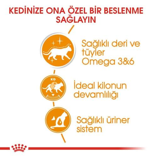 Royal Canin Intense Beauty Jelly Kedi Konservesi 85 Gr (12 Adet)