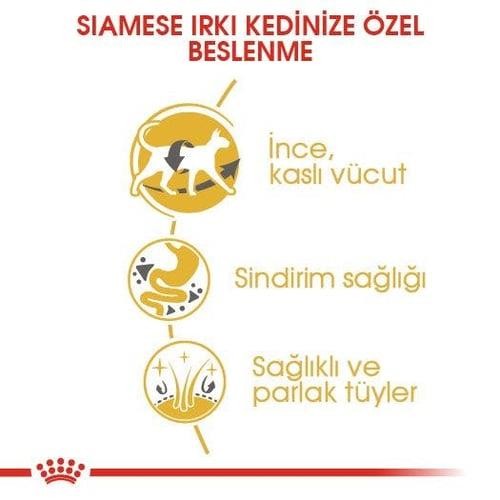 Royal Canin Siamese Yetişkin Kedi Maması 2 Kg