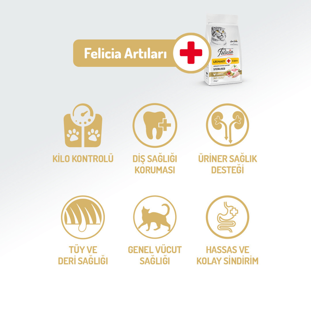 Felicia Urinary Care Light SterilisedTavuk Etli Kısırlaştırılmış Kedi Maması 12 Kg