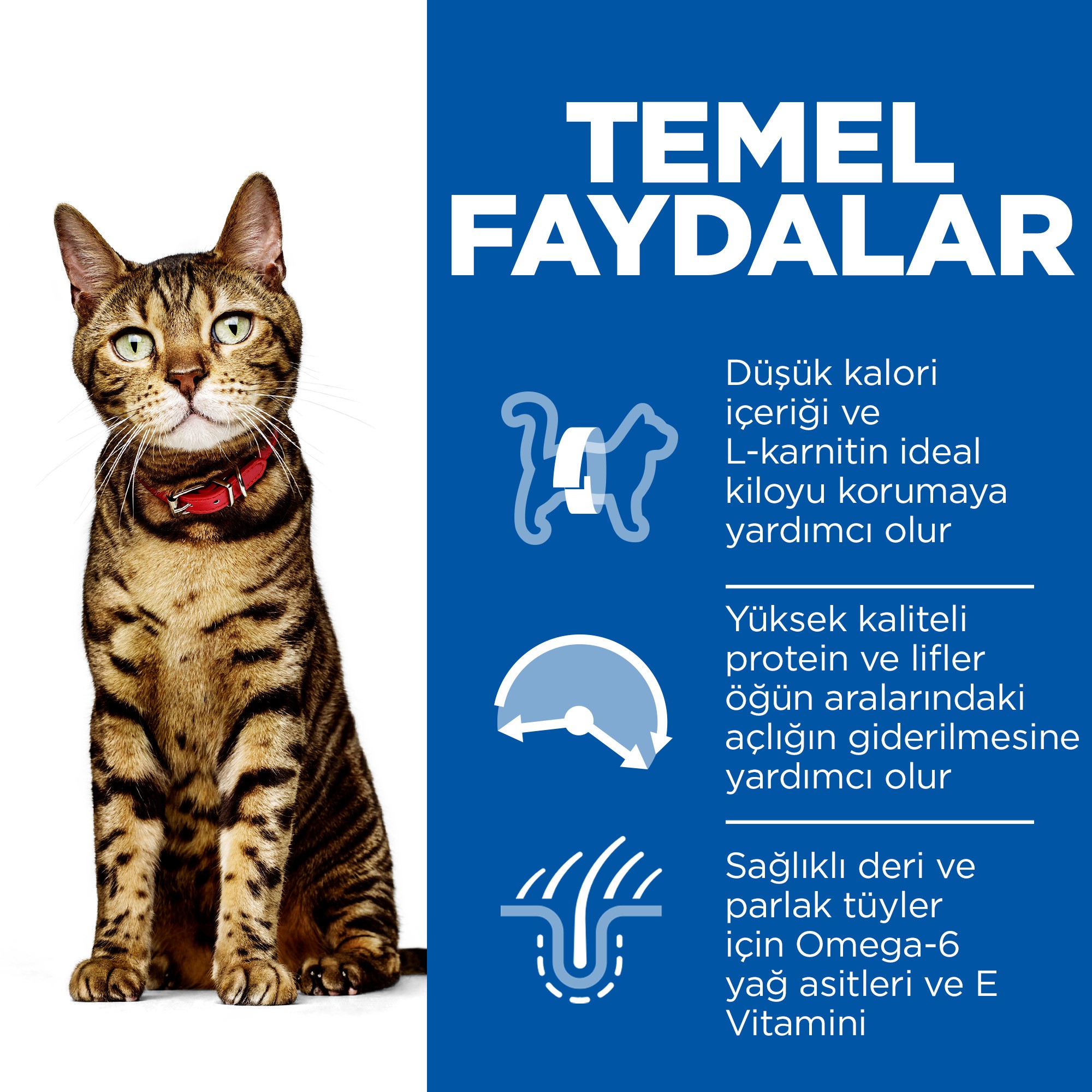 Hill's Light Tavuk Etli Yetişkin Kedi Maması 3 Kg