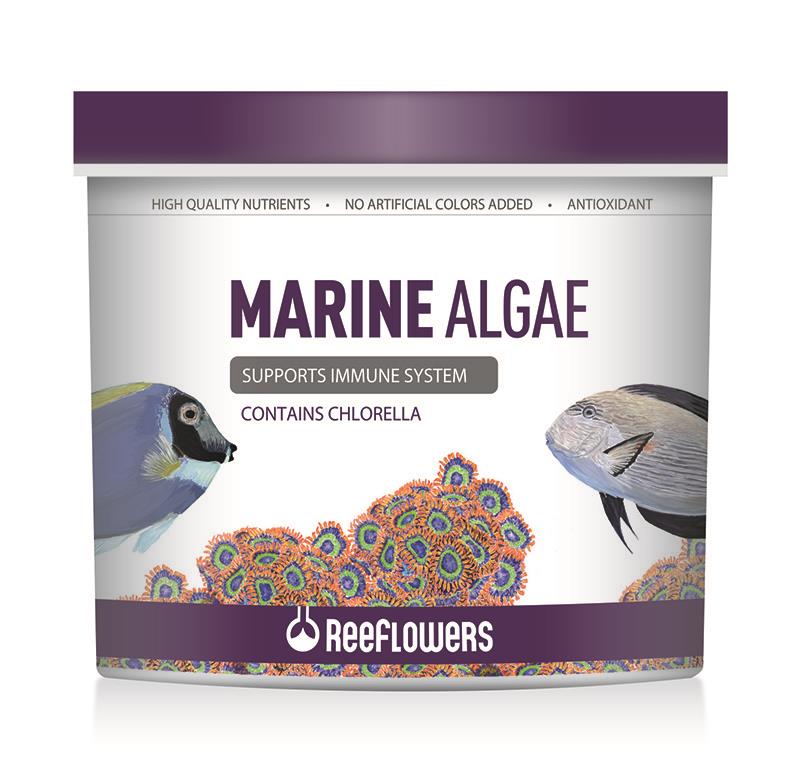ReeFlowers Marine Algae Tuzlu Su Balık Yemi 150 Ml