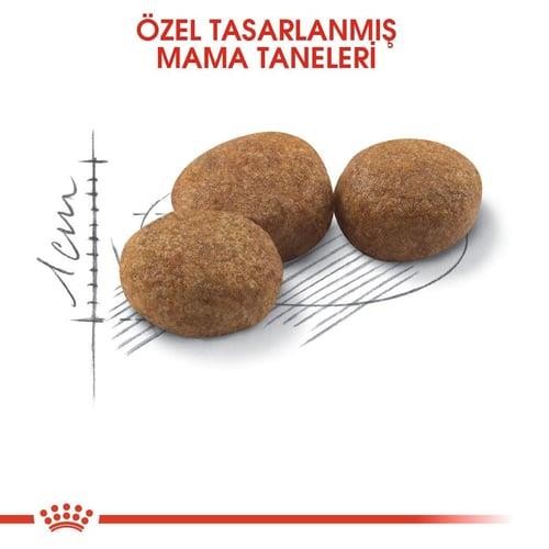 Royal Canin Sterilised Kısırlaştırılmış Yetişkin Kedi Maması 400 Gr
