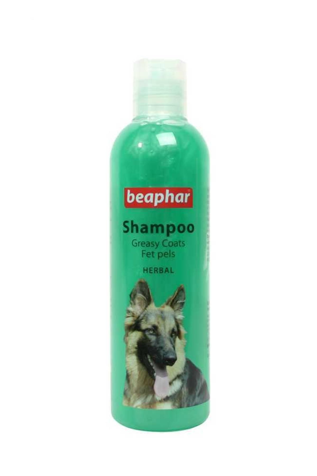 Beaphar Yağlı Ciltli Köpekler İçin Bitki Özlü Şampuan 250 Ml