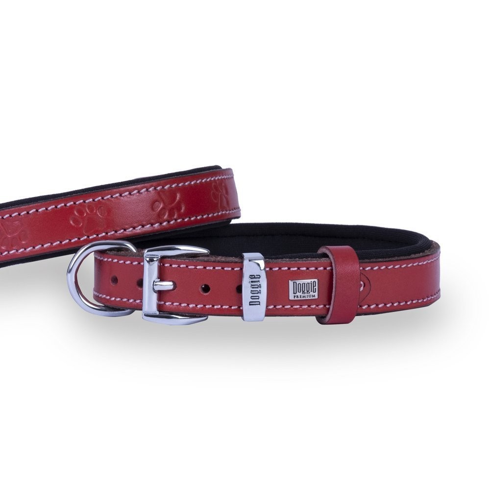 Doggie Deri Pati Desenli Boyun Tasması M 2x35-40 Cm Kırmızı