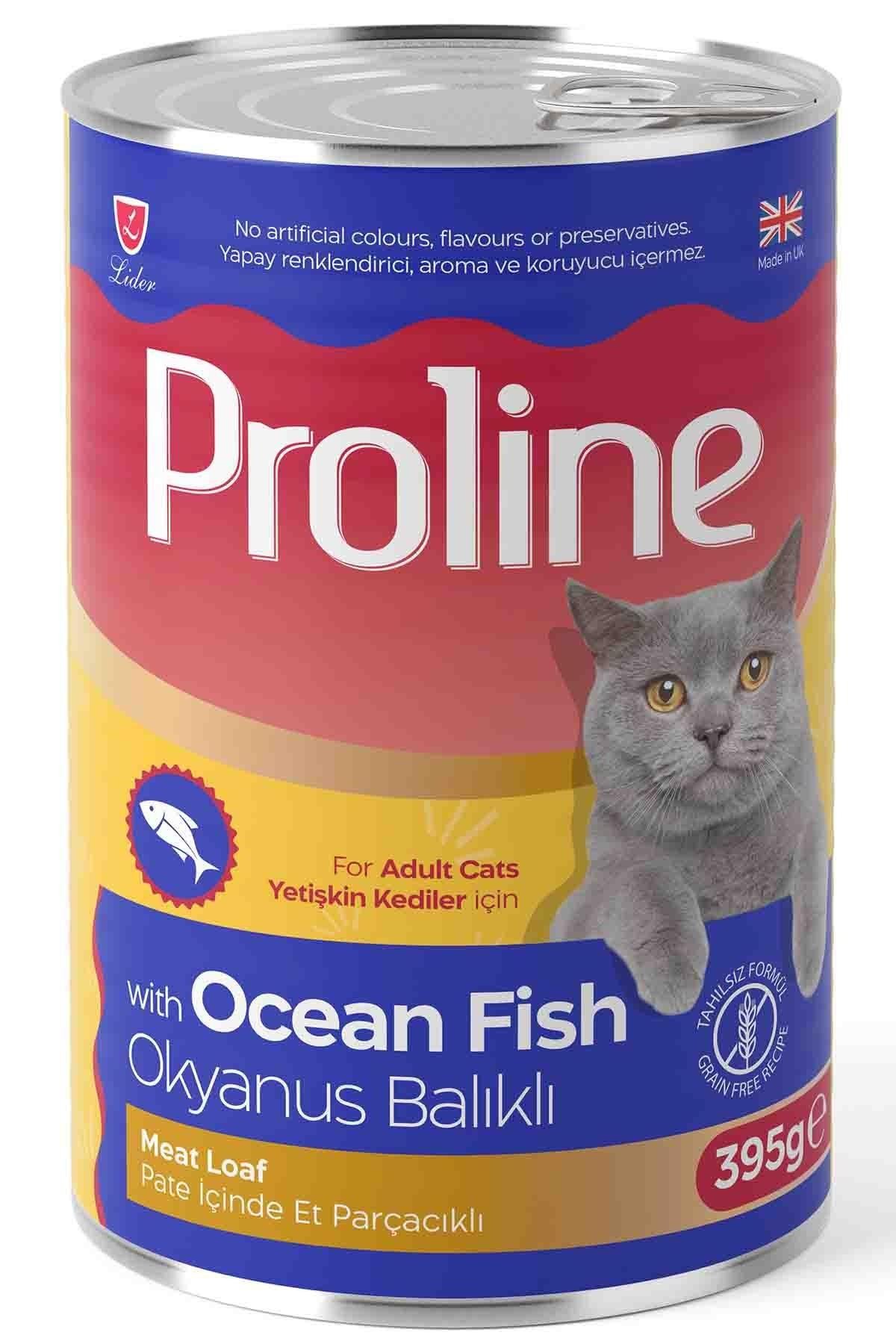 Proline Pate İçinde Et Parçacıklı Okyanus Balıklı Yetişkin Kedi Konservesi 395 Gr