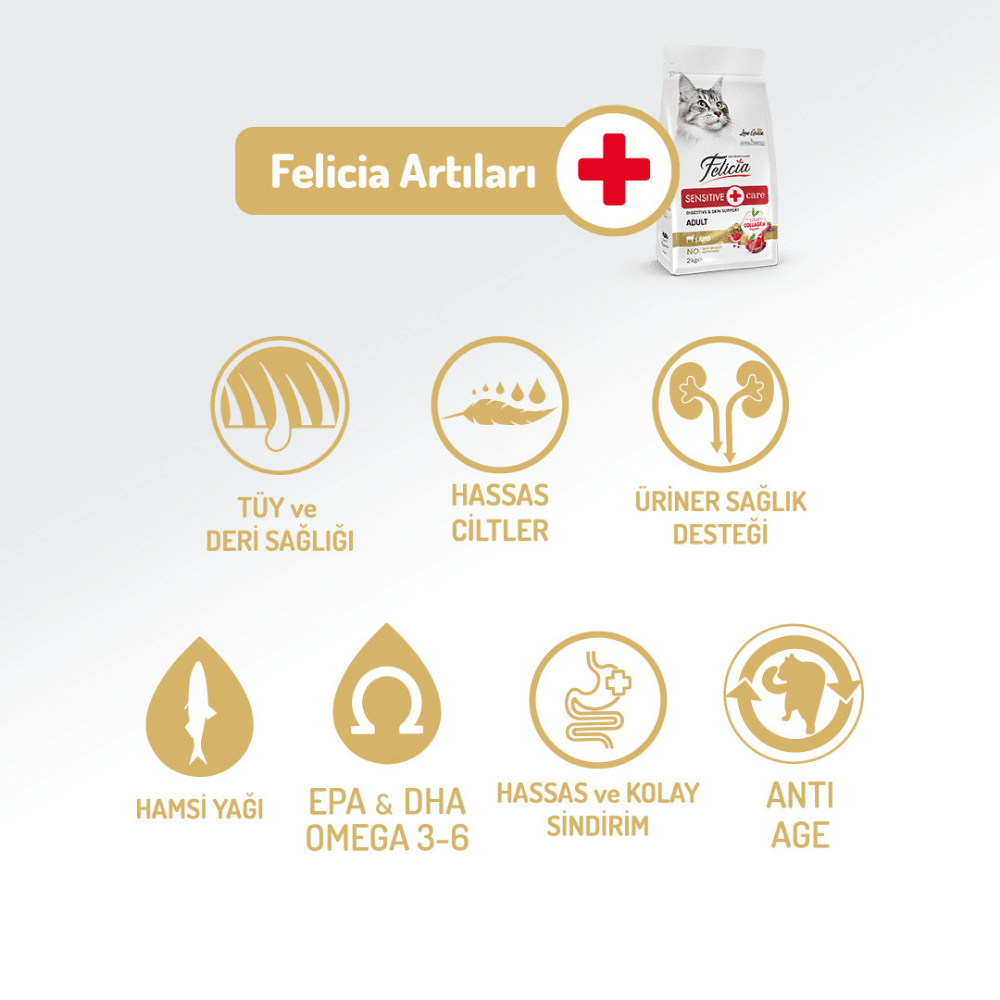 Felicia Sensitive Care Düşük Tahıllı Kuzu Etli Yetişkin Kedi Maması 12 Kg