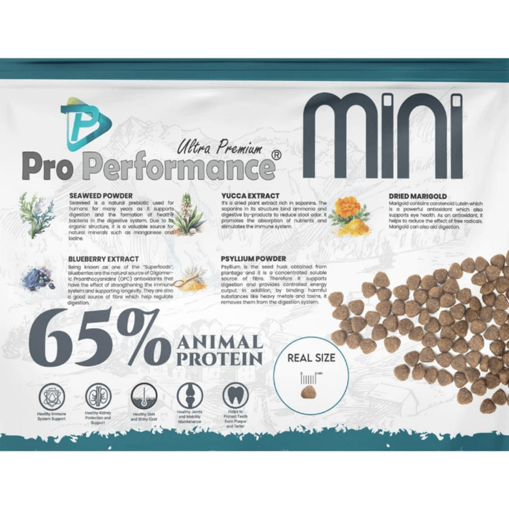 Pro Performance Ultra Premium Hipoalerjenik Somonlu ve Yaban Mersinli Uzun Tüylü Küçük Irk Yetişkin Köpek Maması 7 Kg