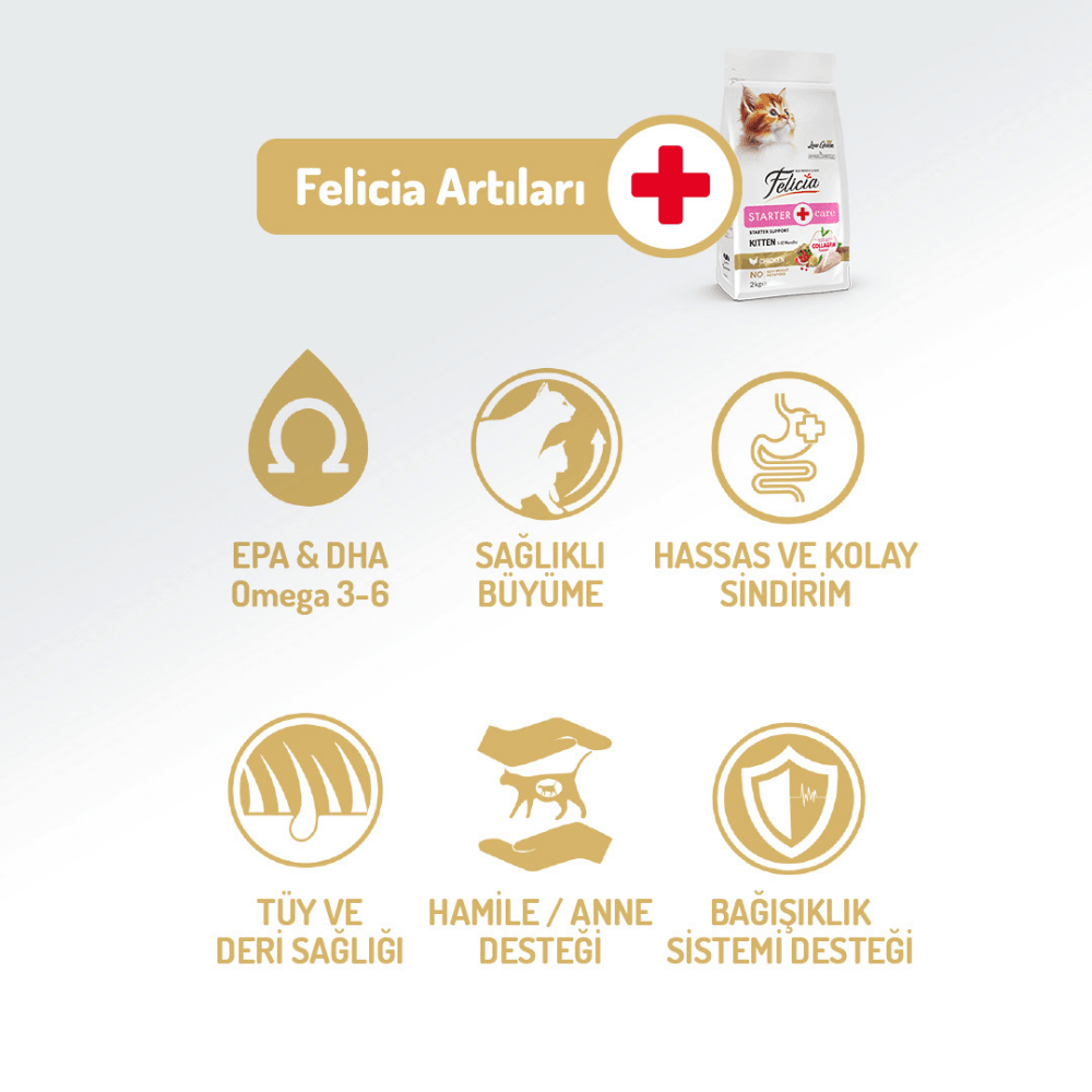 Felicia Starter Care Tavuklu Yavru Kedi Maması 12 Kg