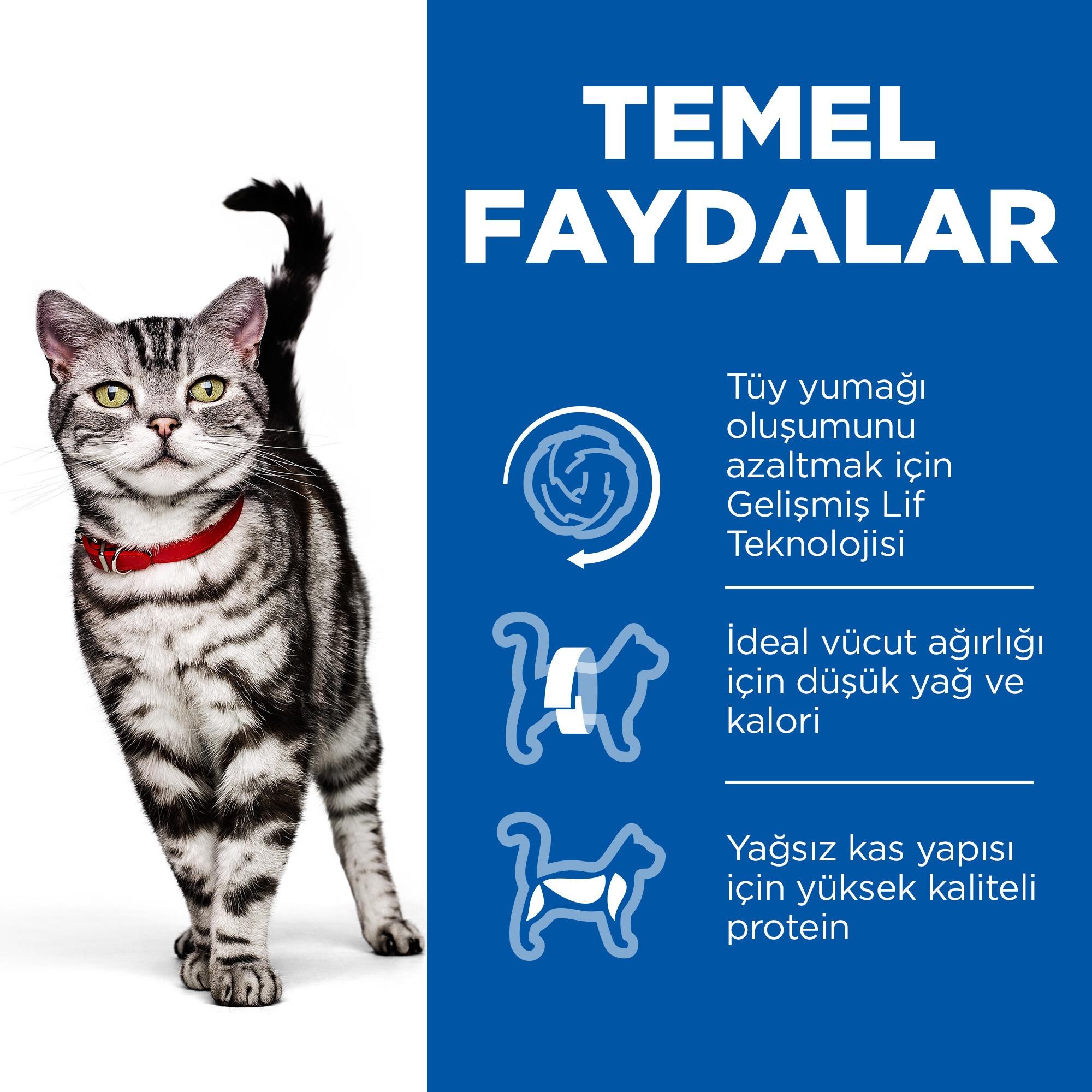Hill's Hairball & Indoor Tavuk Etli Yetişkin Kedi Maması 1.5 Kg