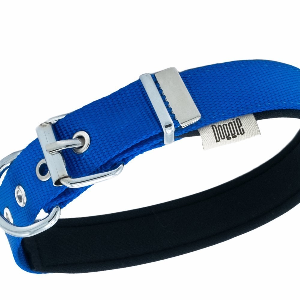 Doggie Comfort Yumuşak Dokuma Köpek Boyun Tasması L 2.5x42-50 Cm Royal Mavi