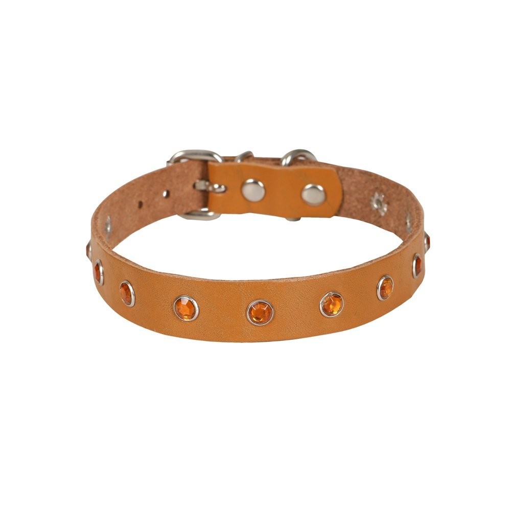 Cattie Taşlı Deri Kedi Boyun Tasması XL 1.5x28-32 Cm Camel