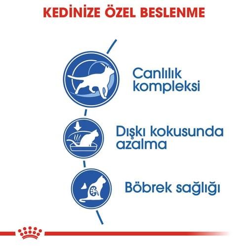 Royal Canin Indoor Yetişkin Kedi Maması 2 Kg