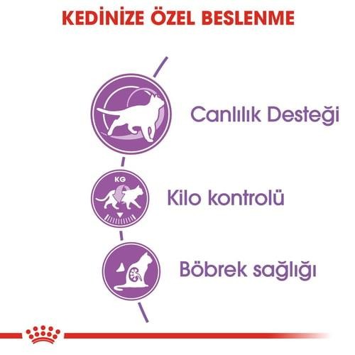 Royal Canin Kitten Yavru Kedi Maması 4 Kg