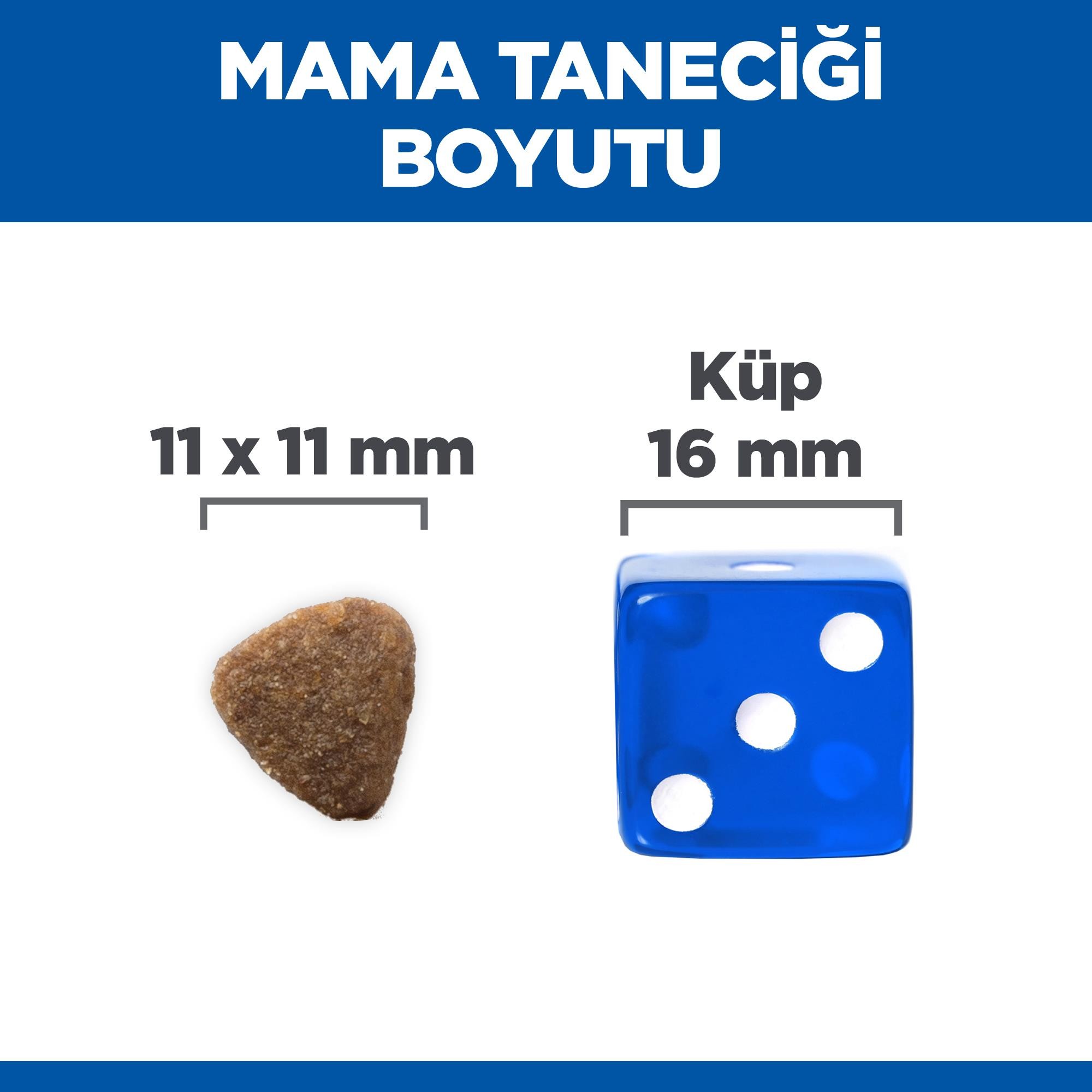 Hill's Hairball & Indoor Tavuk Etli Yetişkin Kedi Maması 1.5 Kg