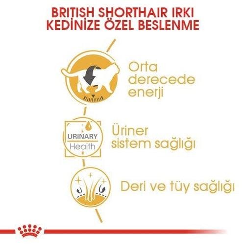 Royal Canin British Shorthair Yetişkin Kedi Maması 4 Kg