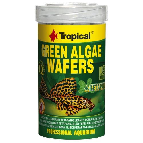 Tropical Green Algae Wafers 250 Ml