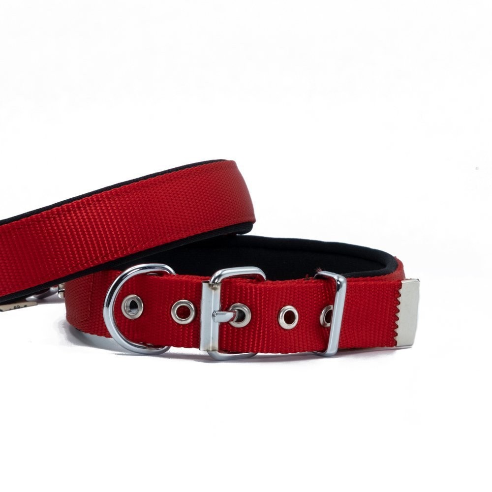 Doggie Comfort Yumuşak Dokuma Köpek Boyun Tasması L 2.5x42-50 Cm Kırmızı