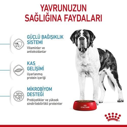 Royal Canin Giant Junior Dev Irk Yavru Köpek Maması 15 Kg