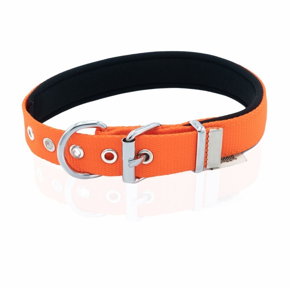 Doggie Comfort Yumuşak Dokuma Köpek Boyun Tasması M 2.5x37-45 Cm Turuncu