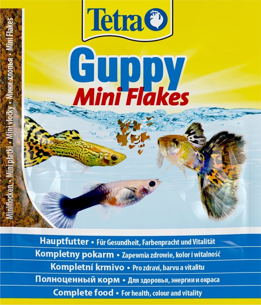Tetra Lepistes Yemi Guppy 12 Gr
