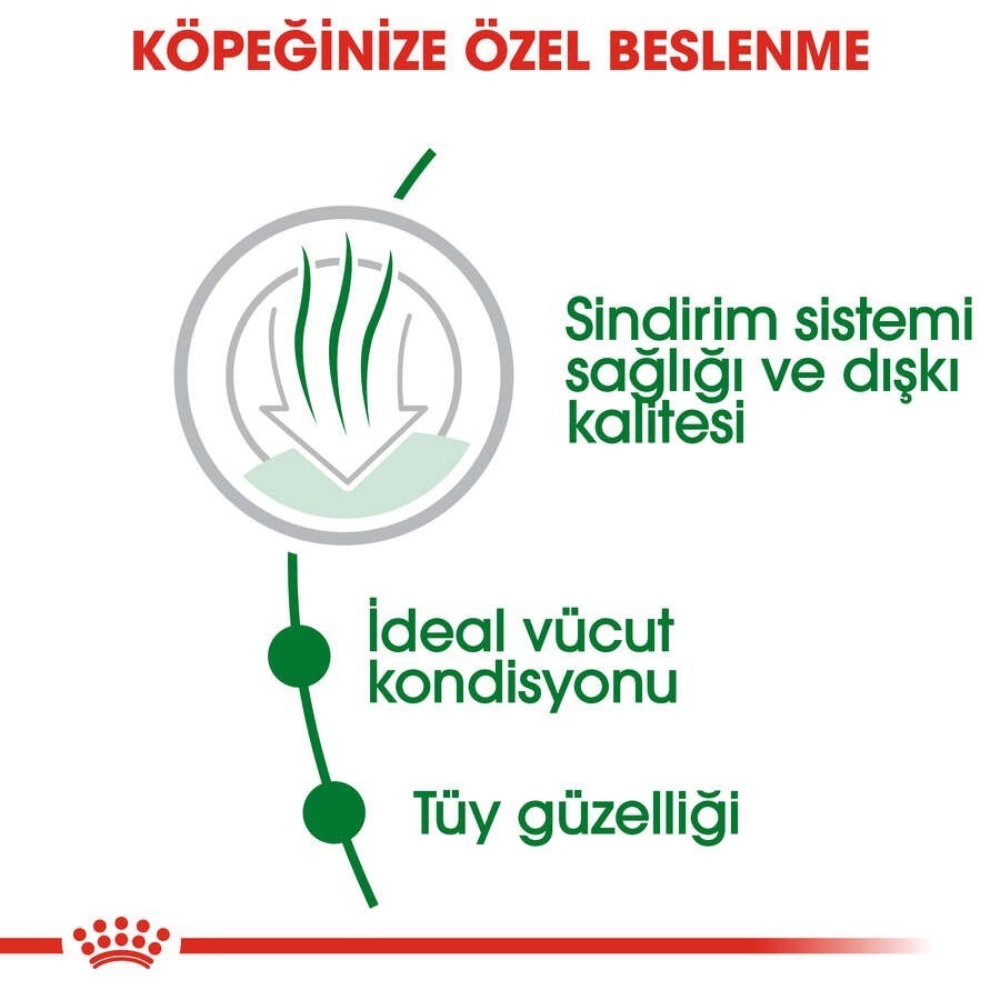 Royal Canin Shn Mini Indoor Yetişkin Köpek Maması 1.5 Kg