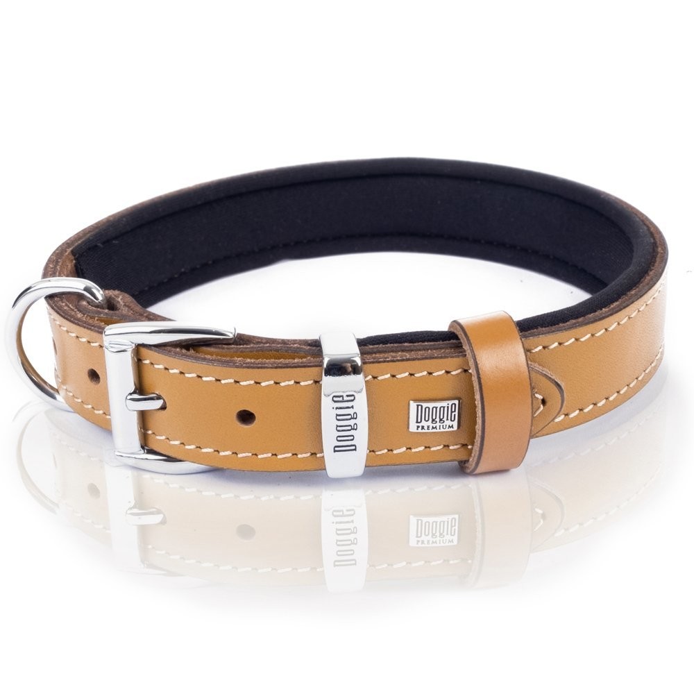 Doggie Deri Kemik Desenli Boyun Tasması M 2.5x37-45 Cm Camel