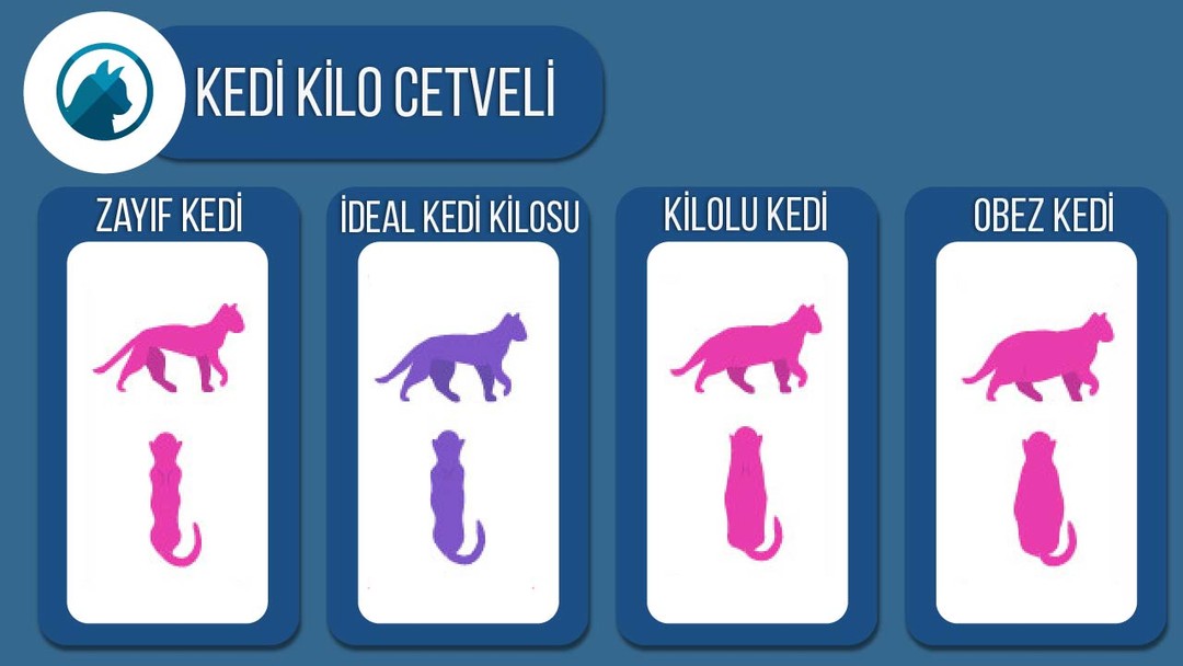 kedi kilo cetveli