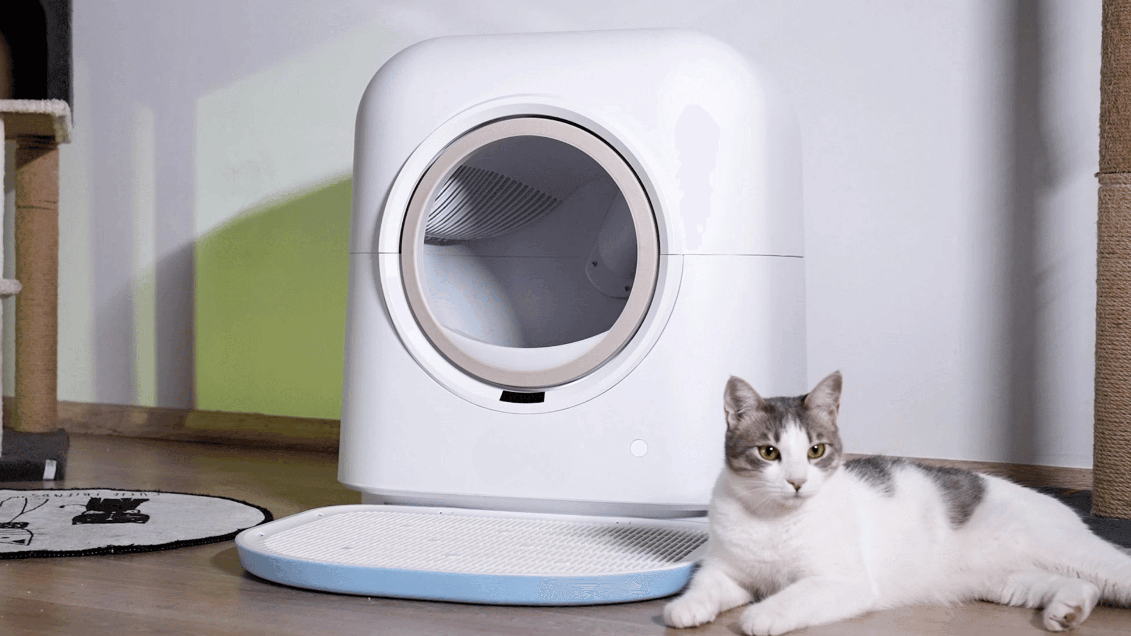 Otomatik Kedi Tuvaleti Nasıl Çalışır? Ne İşe Yarar?