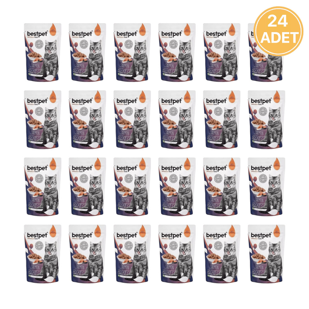 Bestpet Somonlu Jelly Yetişkin Kedi Konservesi 85 Gr (24 Adet)