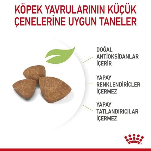 Royal Canin X-S Puppy Küçük Irk Yavru Köpek Maması 3 Kg