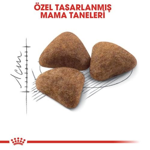 Royal Canin Indoor Yetişkin Kedi Maması 400 Gr