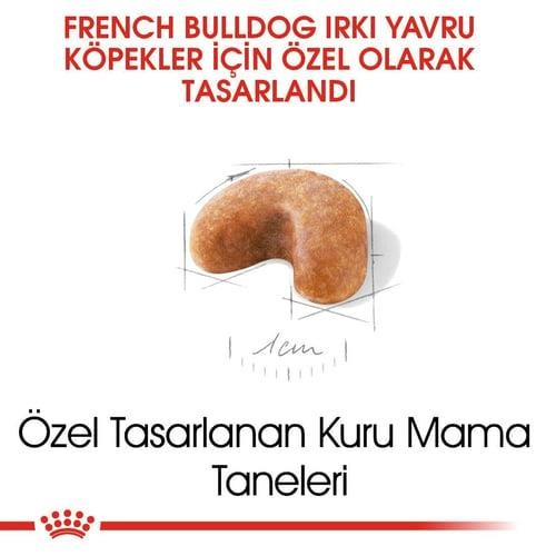 Royal Canin French Bulldog Junior Yavru Köpek Maması 3 Kg