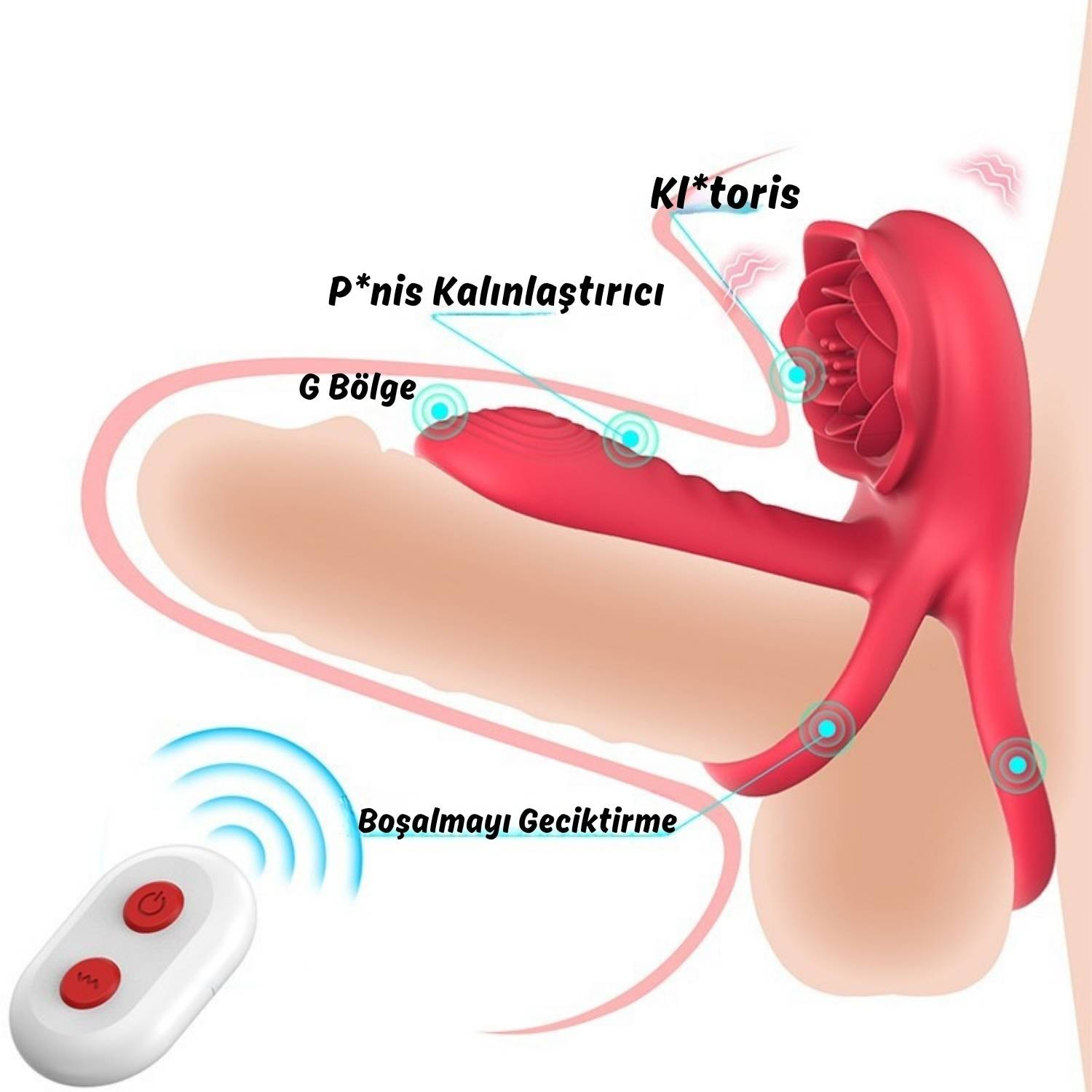 Barry Pro RCT - Şarjlı Uzaktan Kumandalı Çift Motorlu G Nokta Klitoris Uyarıcı Vibratör Titreşimli Testis ve Penis Halkası detay