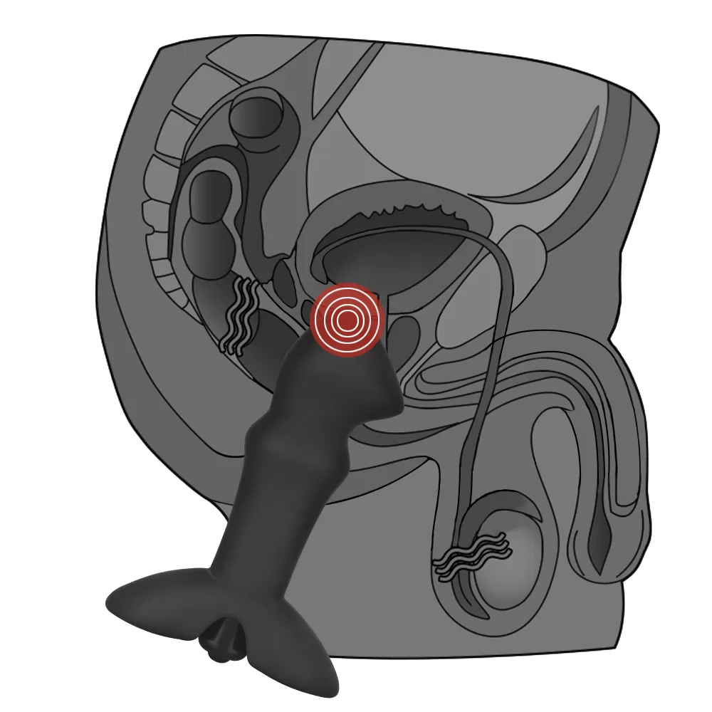 Silicone Prostate Stud - Çıkar Tak Bullet Vibratörlü Prostat Uyarıcı Vibratör Güçlü Titreşimli 10 Fonksiyonlu Silikon Anal Plug detay