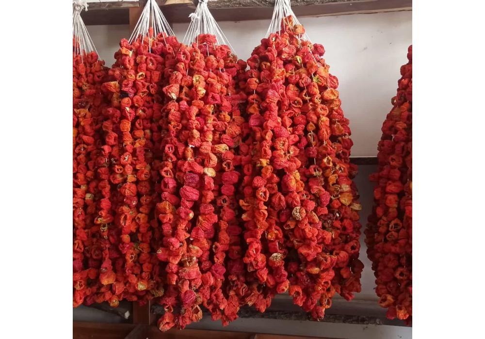Kurutmalık Tatlı Biber