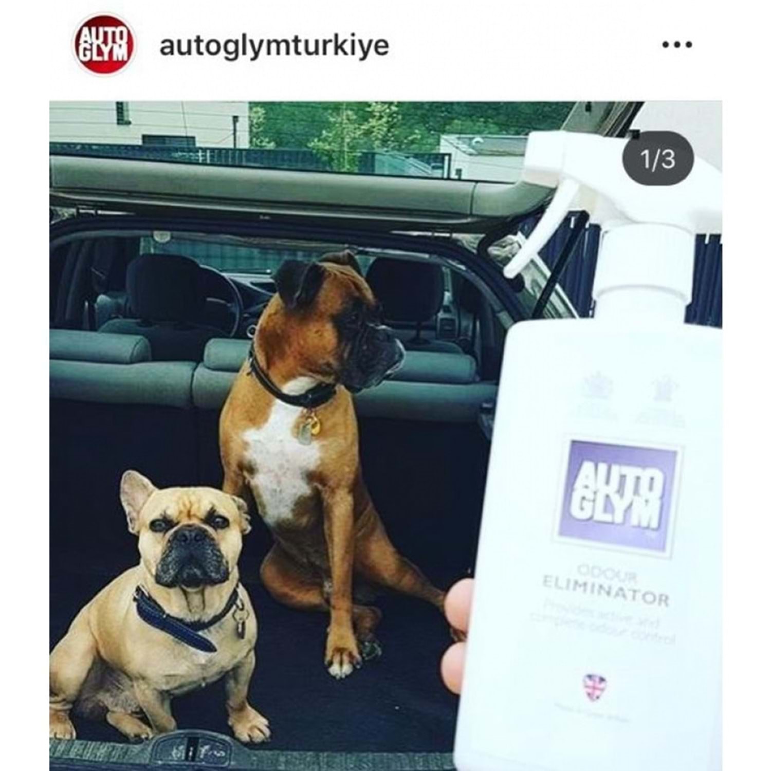 ODOUR ELIMINATOR - Kötü Koku Giderici 5 LT.