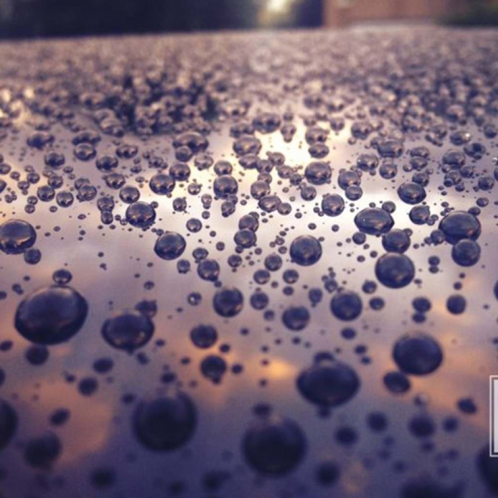 RAPID AQUA WAX - Yıkama Sonrası Islak Hızlı Wax Cila 500 ML.