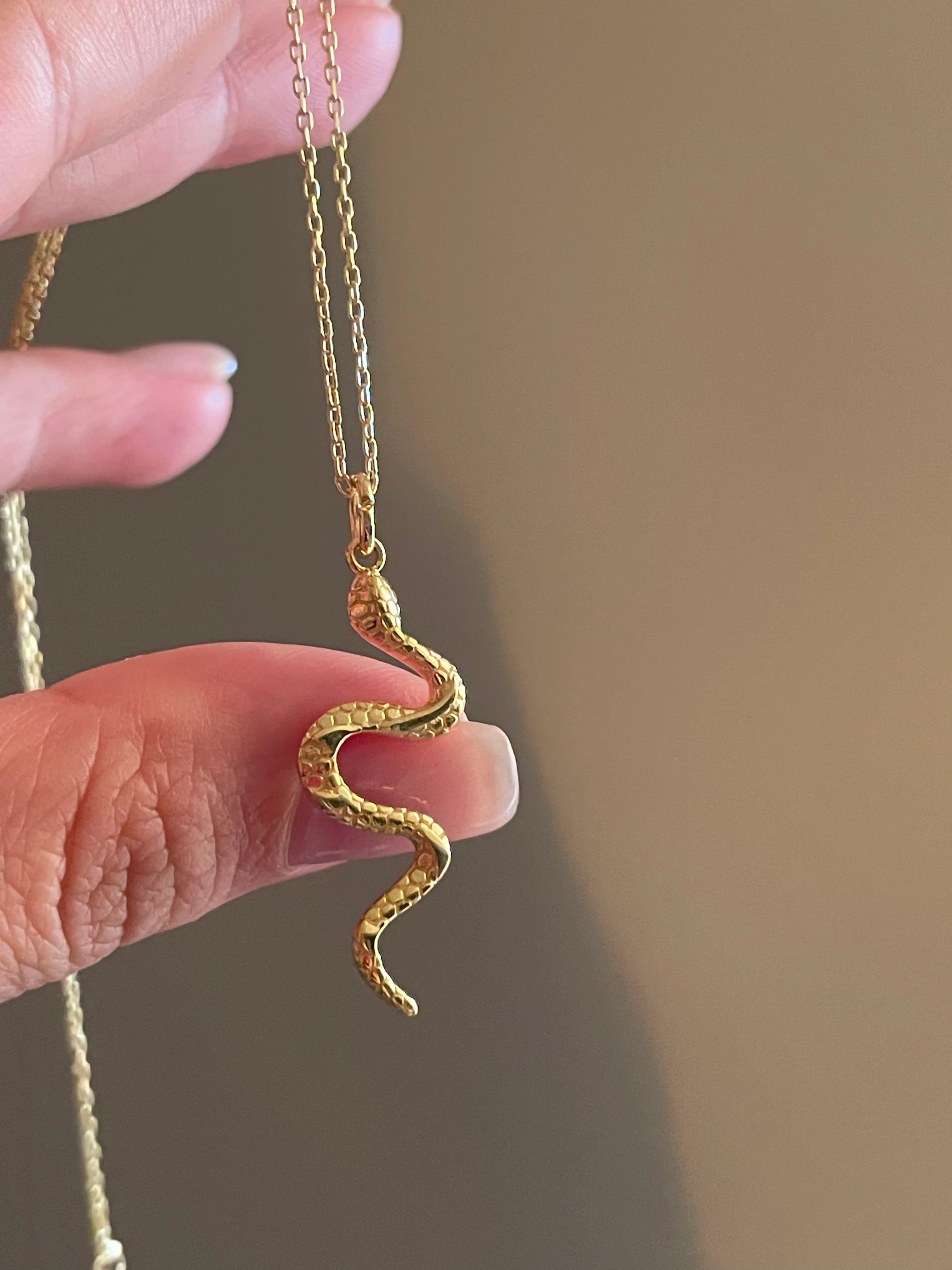 925 Gümüş | Taşsız Yılan Kolye