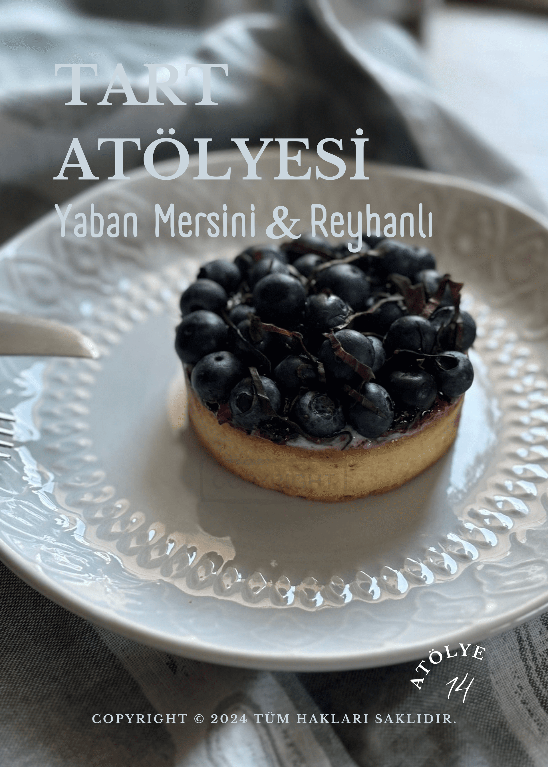 3 Çeşit Tartlar Serisi: Limonlu Ahududulu Tart & Yaban Mersinli Reyhanlı Tart & Çikolatalı Fındıklı Tart