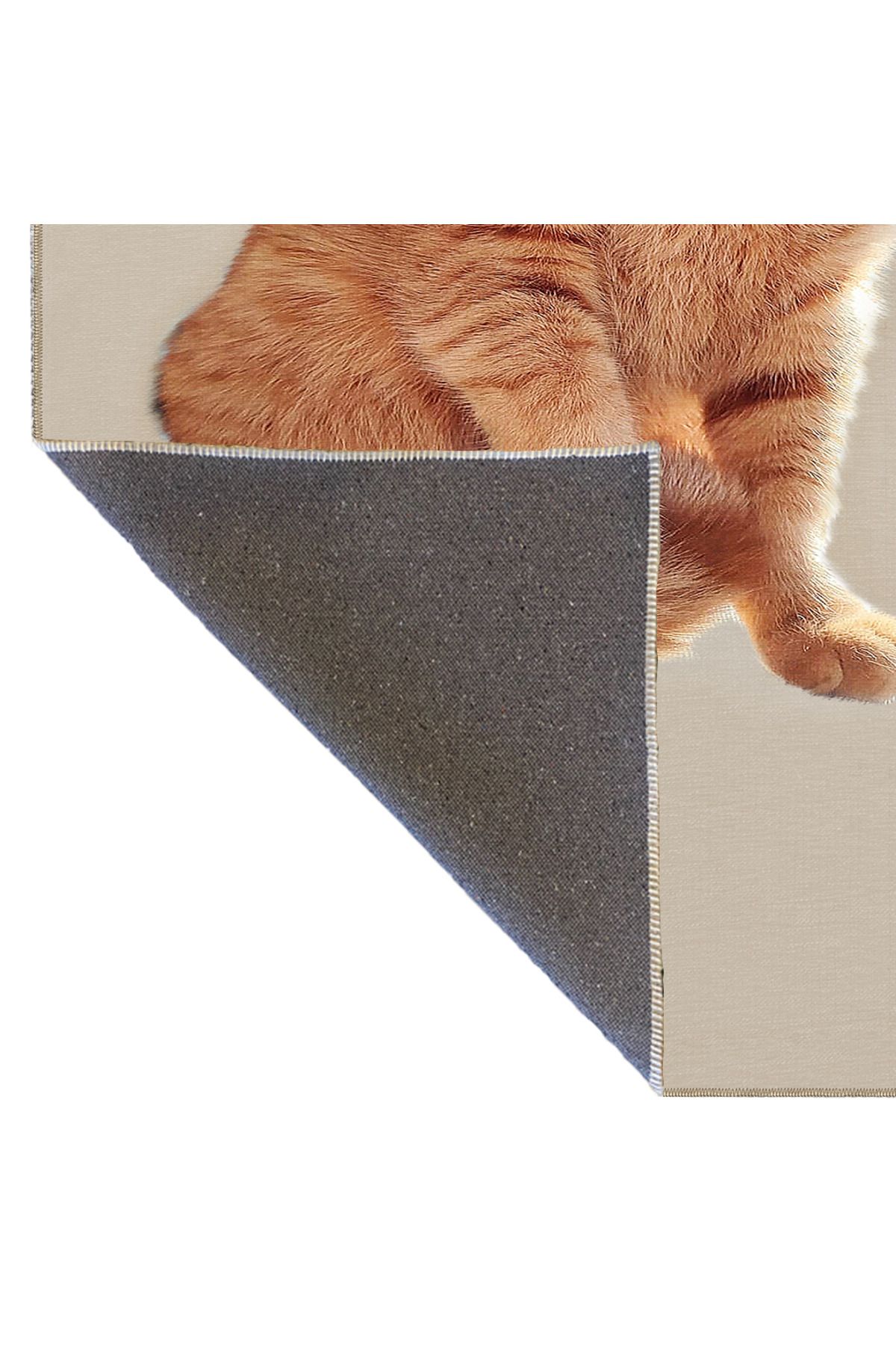 Kedi Desenli Hayvan Çocuk Odası Halısı Dekoratif Halı miravip203