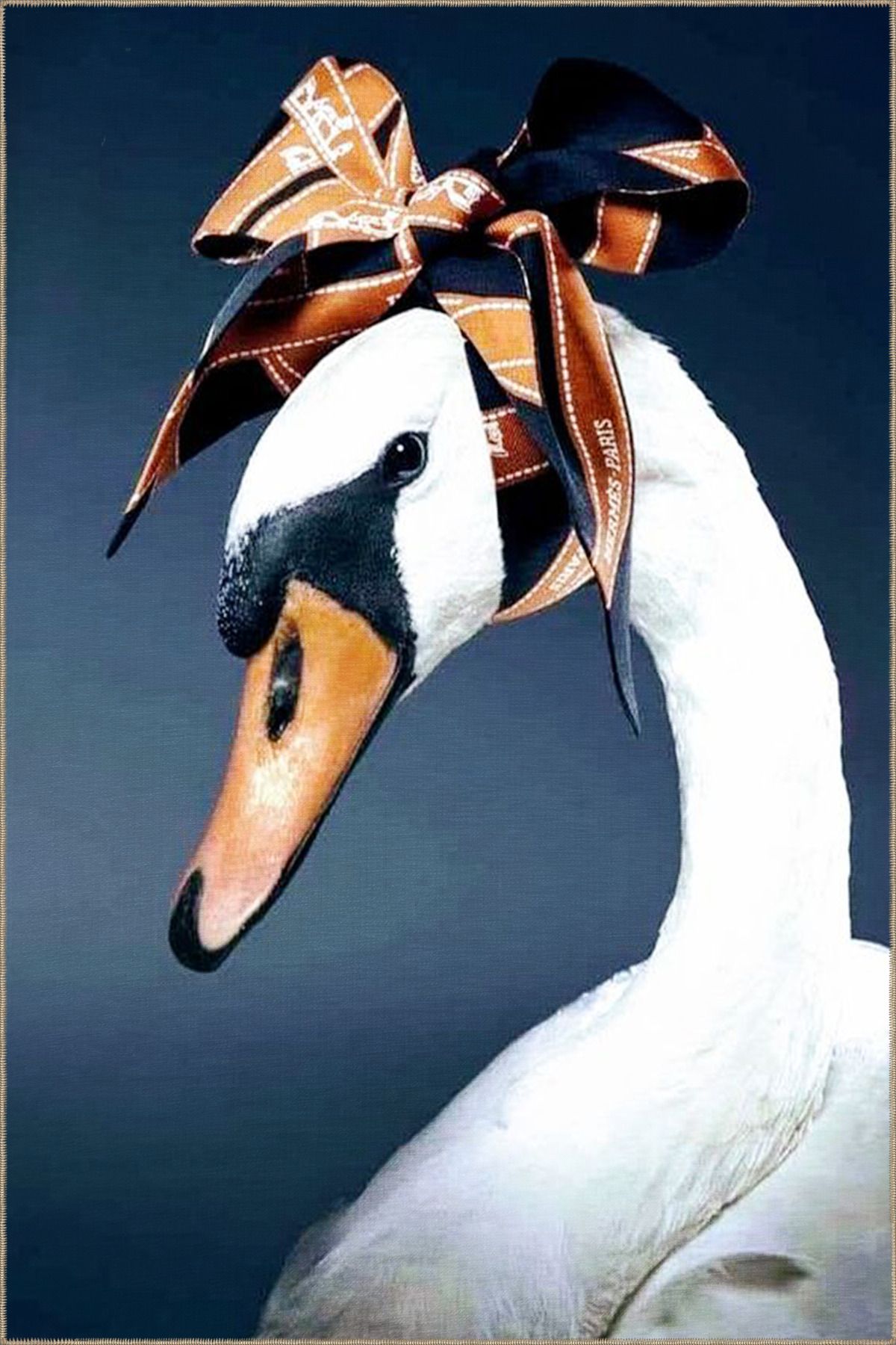 Mavi Tonlarda Beyaz Örtülü Kuğu Hayvan Desenli Dekoratif Halı miravip719