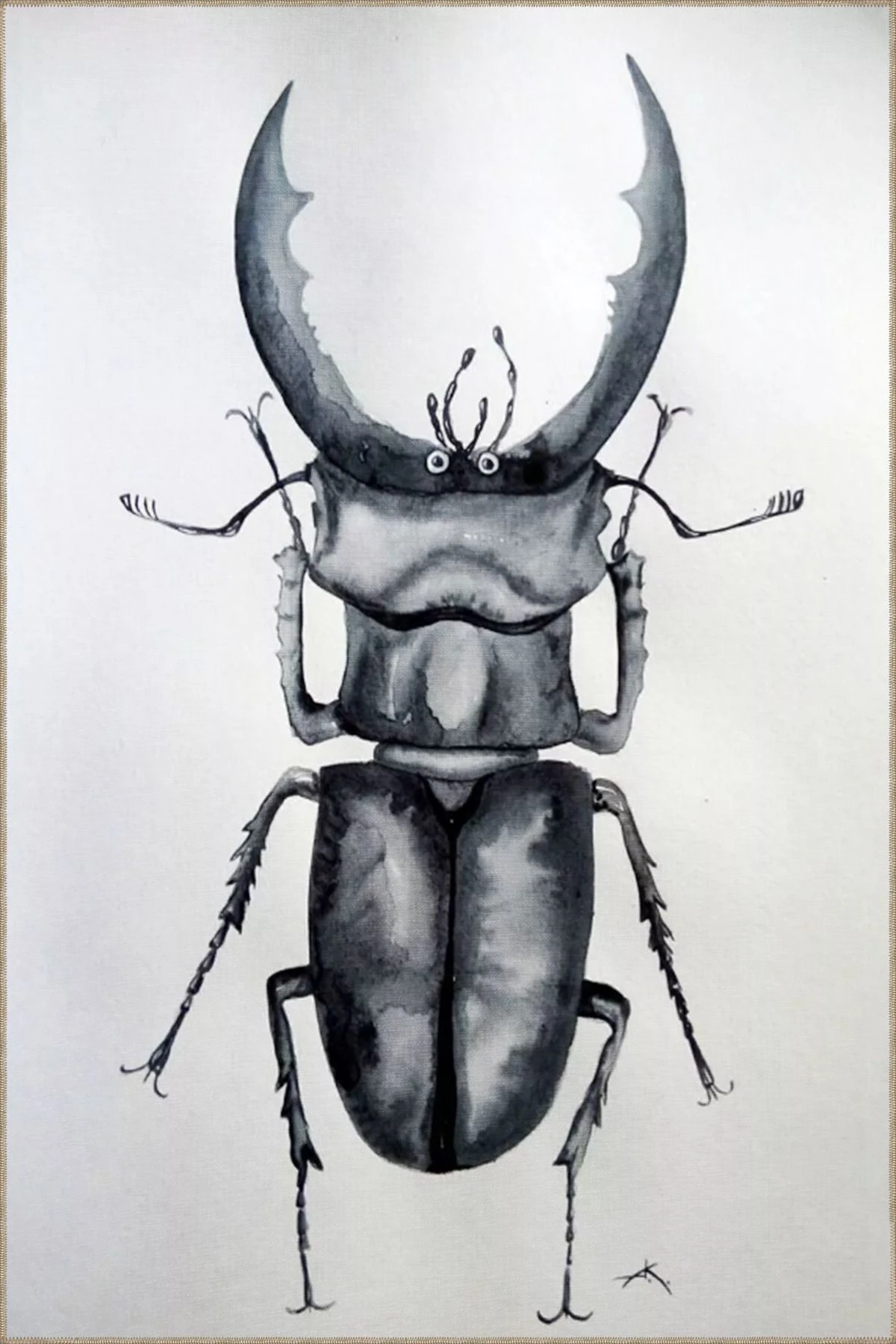 Beyaz Temalı Böcek Desenli Dekoratif ve Dokuma Taban Yıkanabilir Halı miravip8832