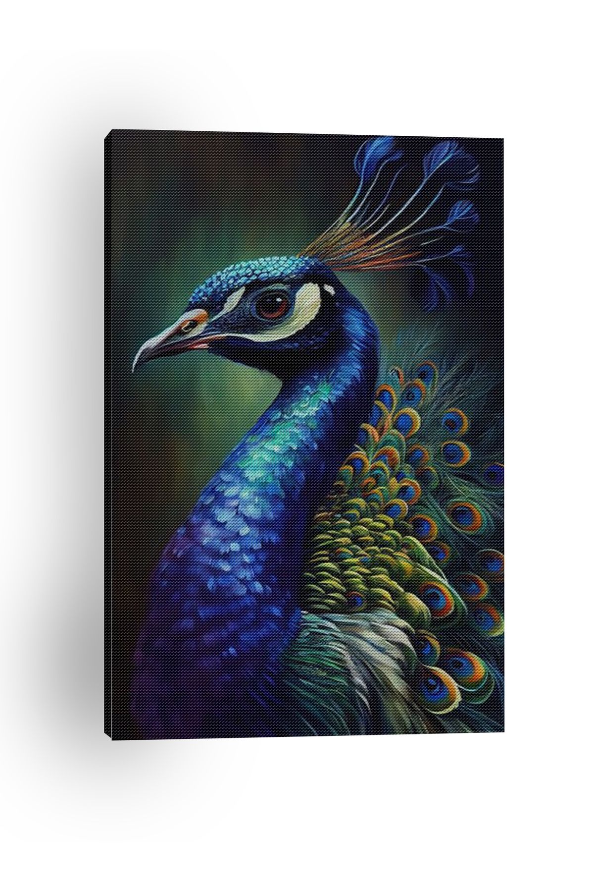 Kanvas Tablo Tavus Kuşu Temalı Tablo