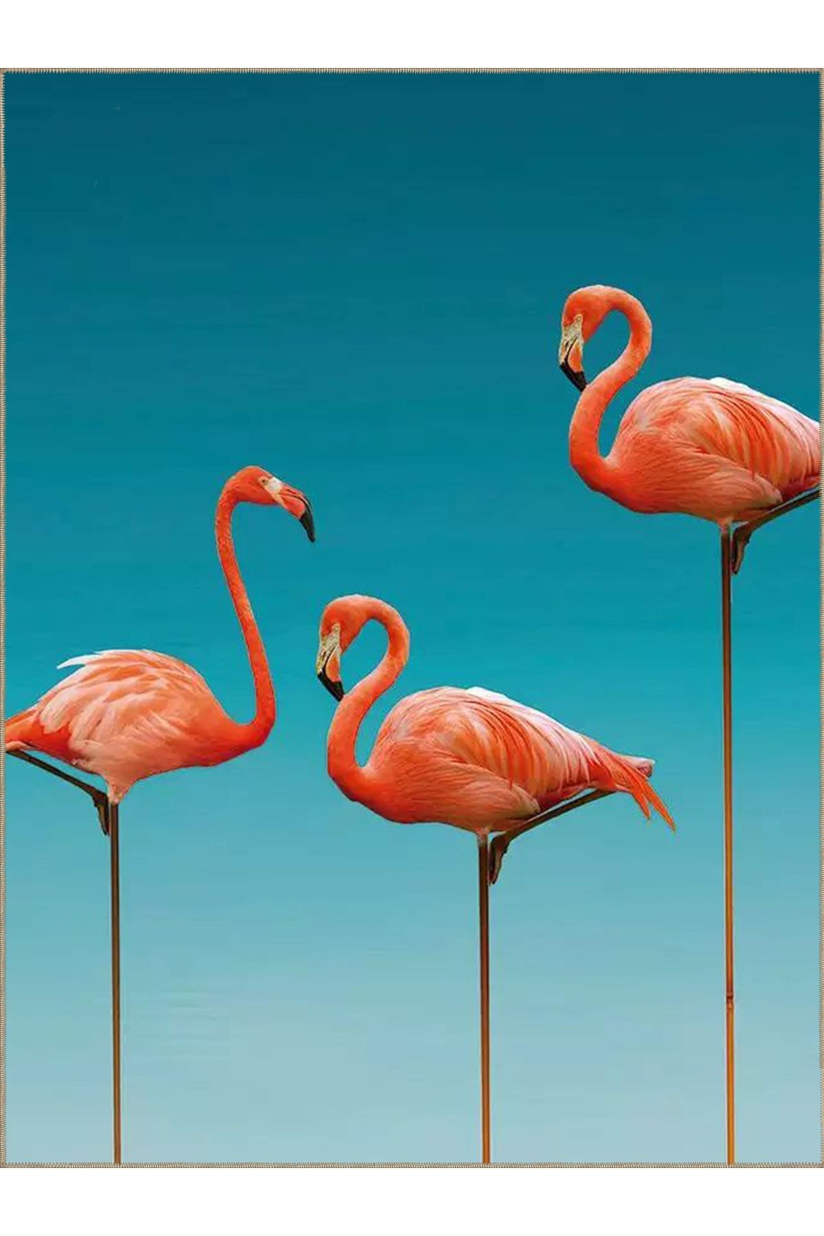 Tuğrul Koleksiyonu Gök Mavi Temalı Flamingo Ailesi Desenli Dokuma Taban Modern Dekoratif Halı 04