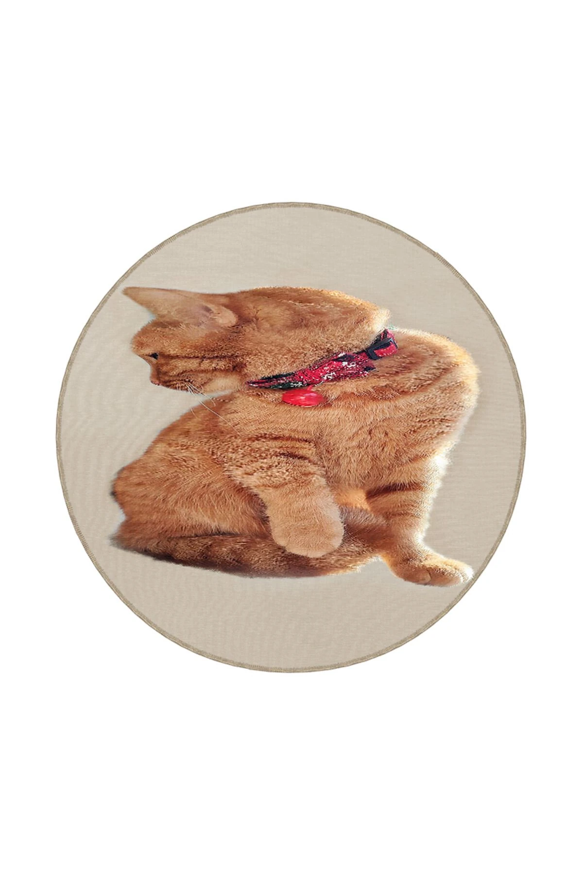 Kedi Desenli Hayvan Çocuk Odası Halısı Dekoratif Halı miravip203