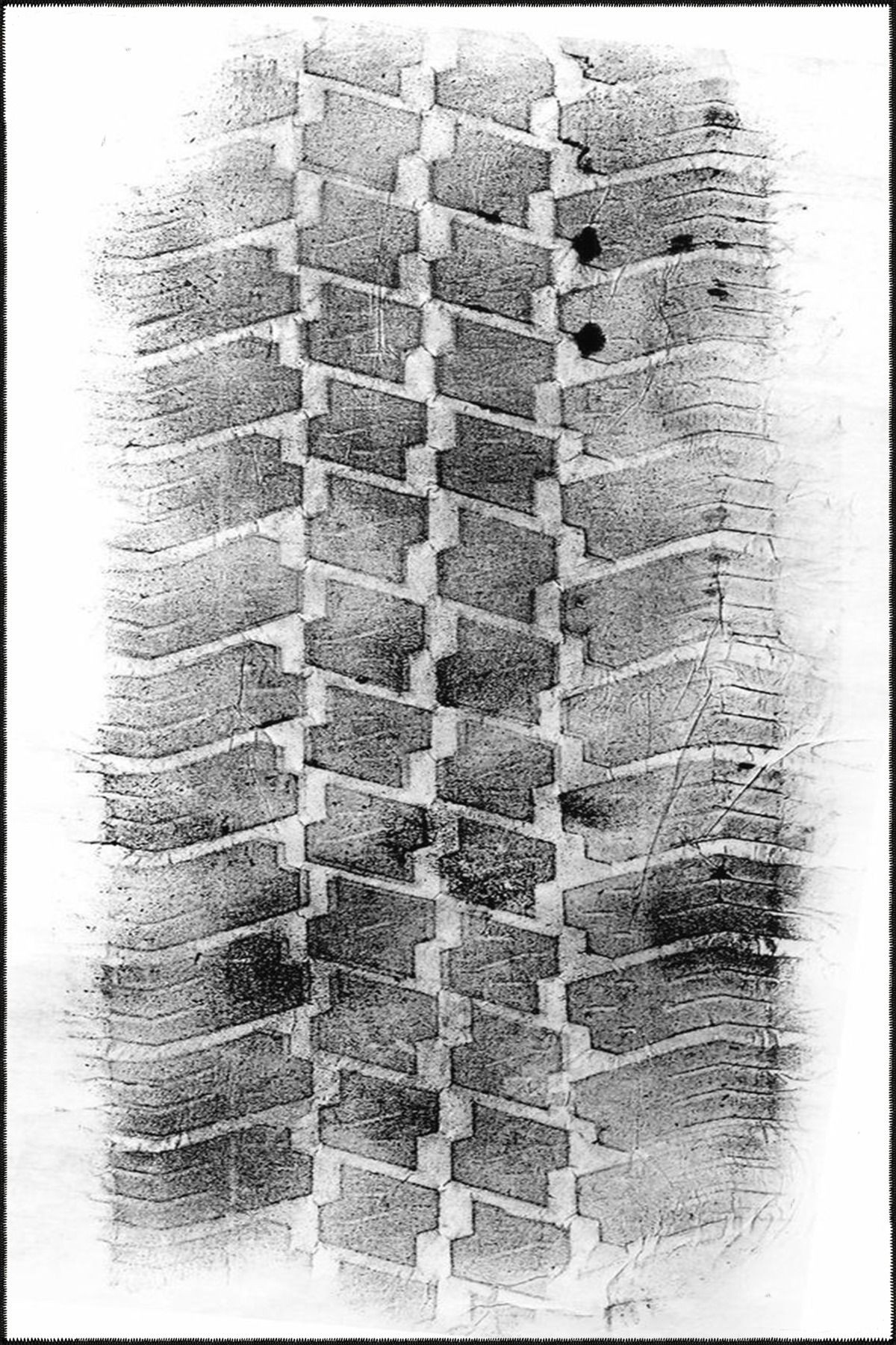 Lastik İzi Desenli Modern Dekoratif Halı ve Yıkanabilir Halı miravip9563