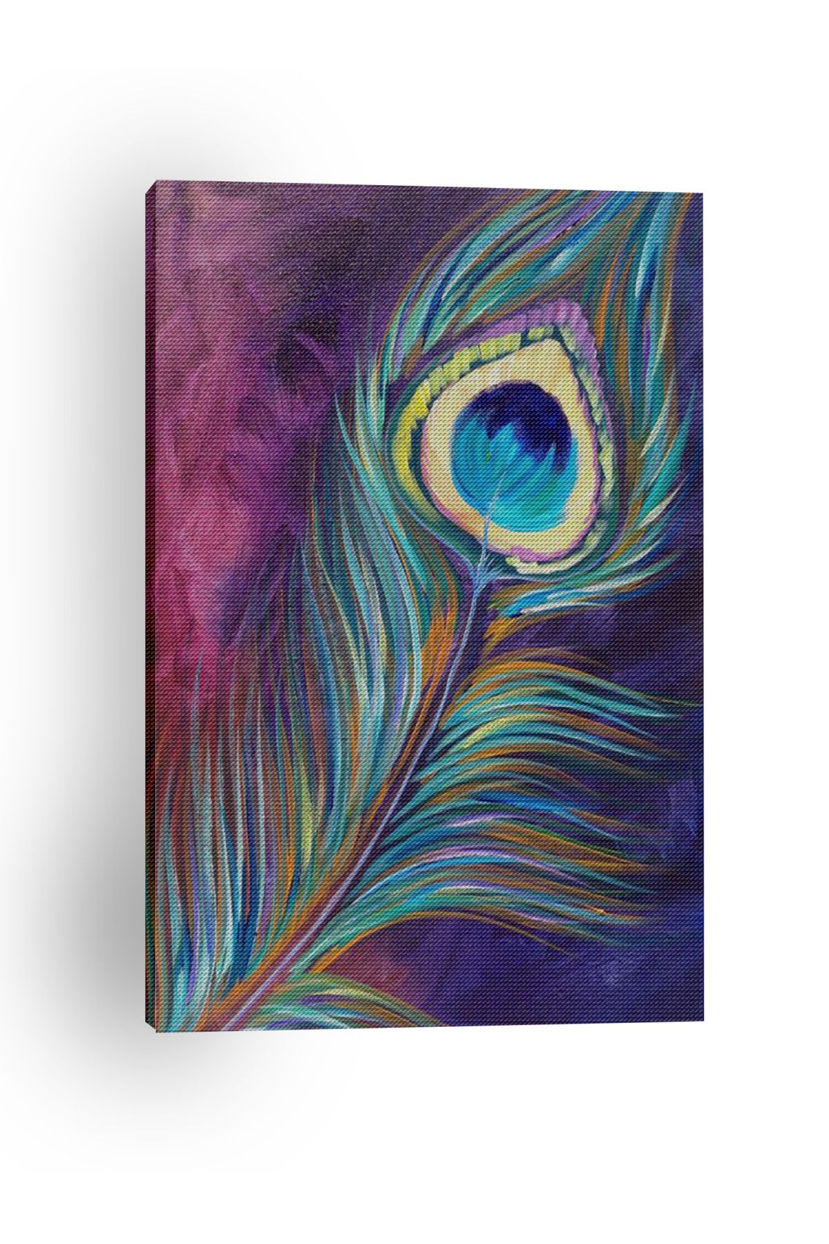 Kanvas Tablo Tavus Tüyü Desenli Temalı Tablo