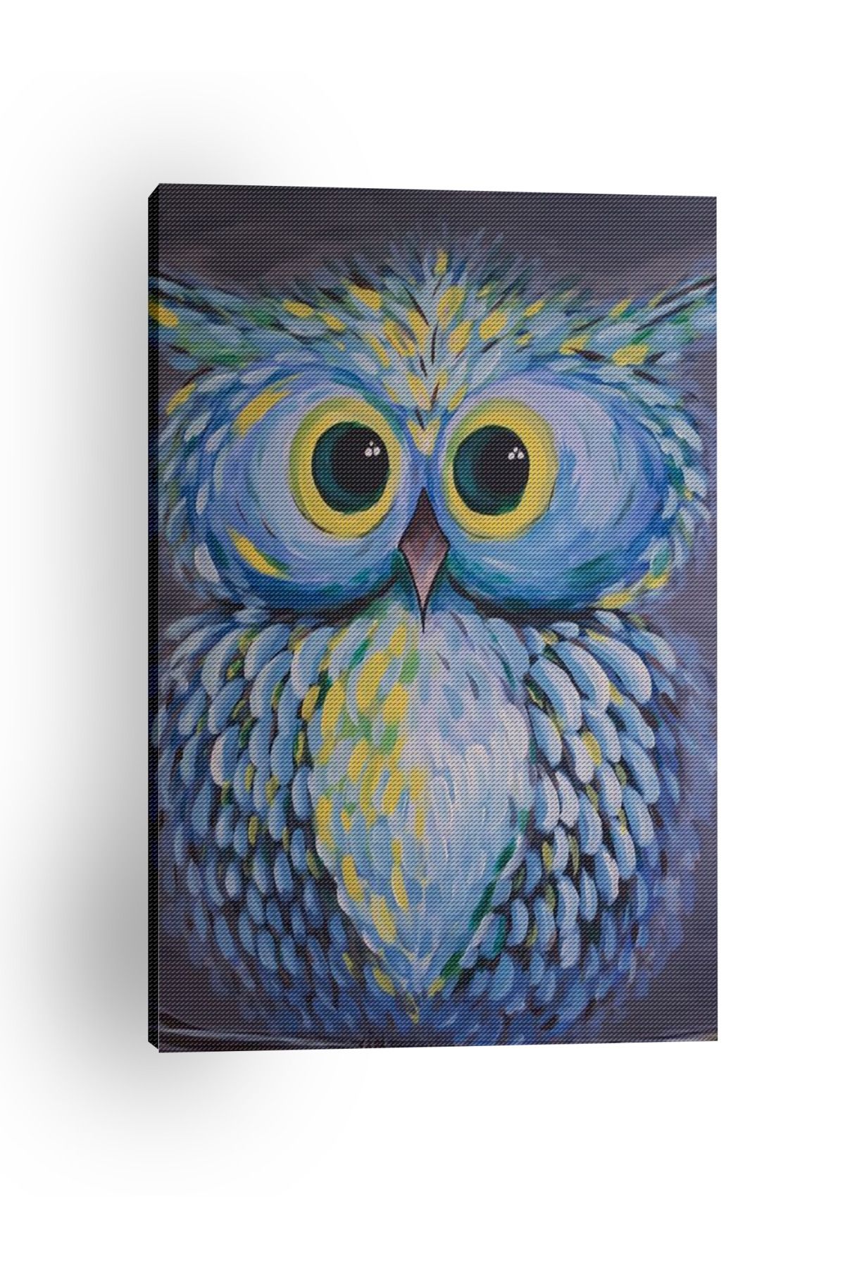 Kanvas Tablo Yavru Baykuş Temalı Desenli Temalı Tablo